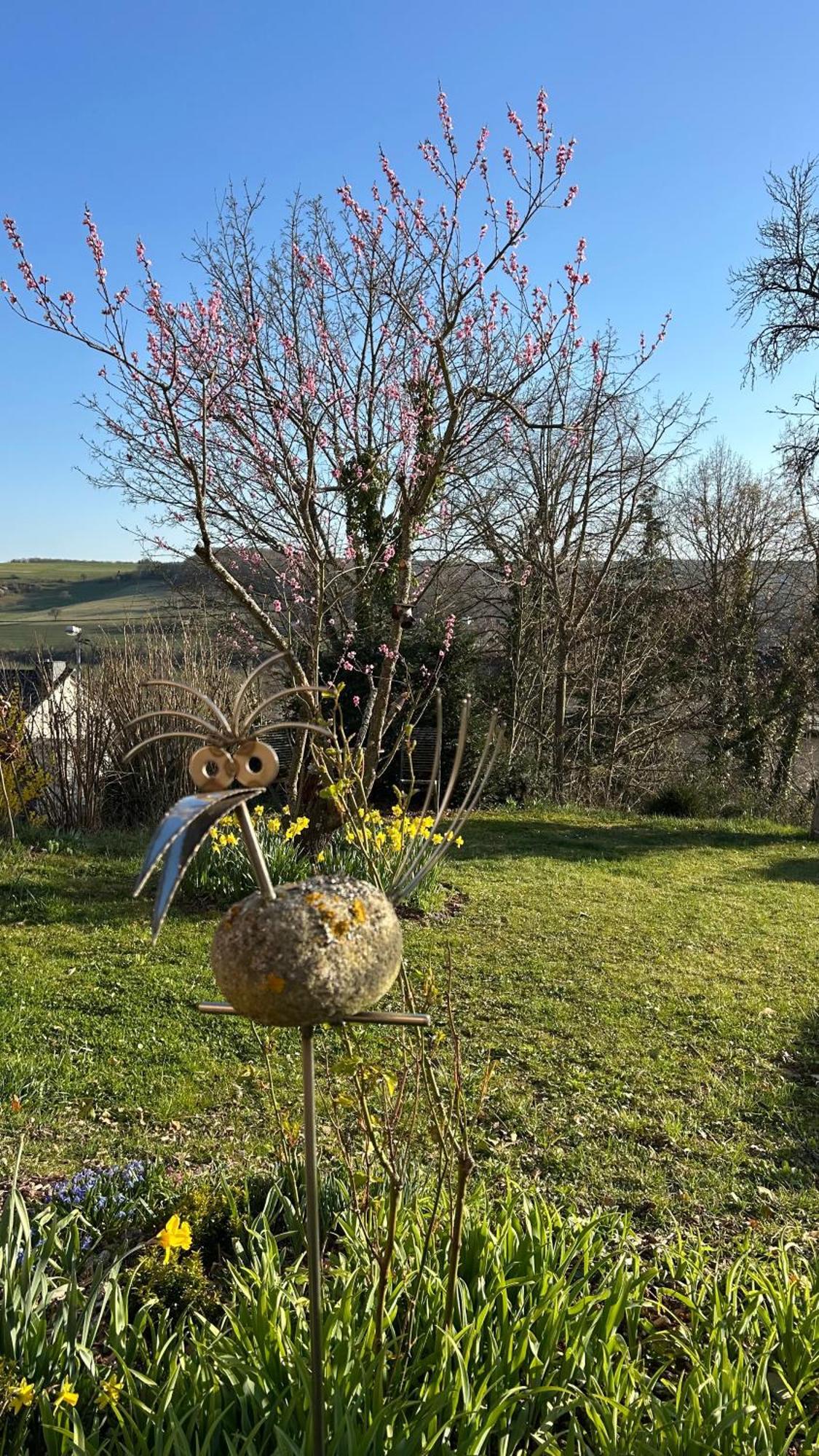 Panoramablick Lägenhet Bad Sobernheim Exteriör bild